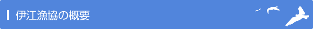 伊江漁業の概要
