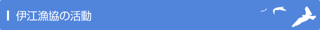 伊江漁協の活動